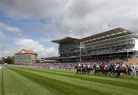York Racecourse Guide .